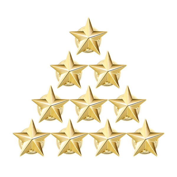 Star Shaped Pin