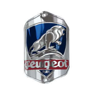 Custom bike tags