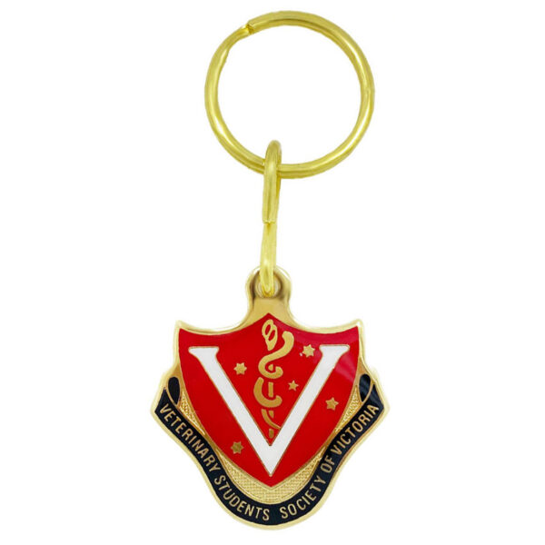 custom gold plated soft enamel epoxy keychain