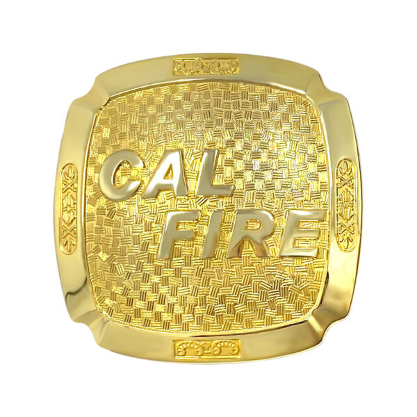 custom zinc ally shinny plated belt buckles