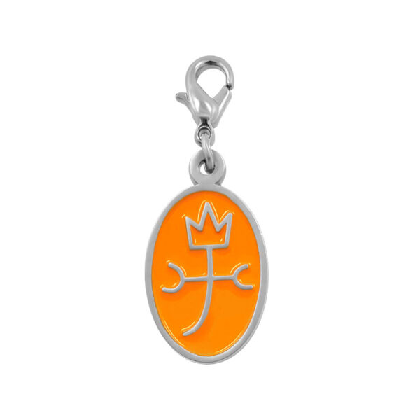 custom metal enamel tags with matte finished